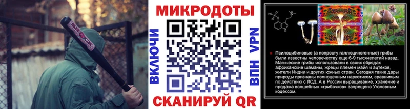 Купить закладки  Медвежьегорск  Псилоцибиновые грибы GOLDEN TEACHER 